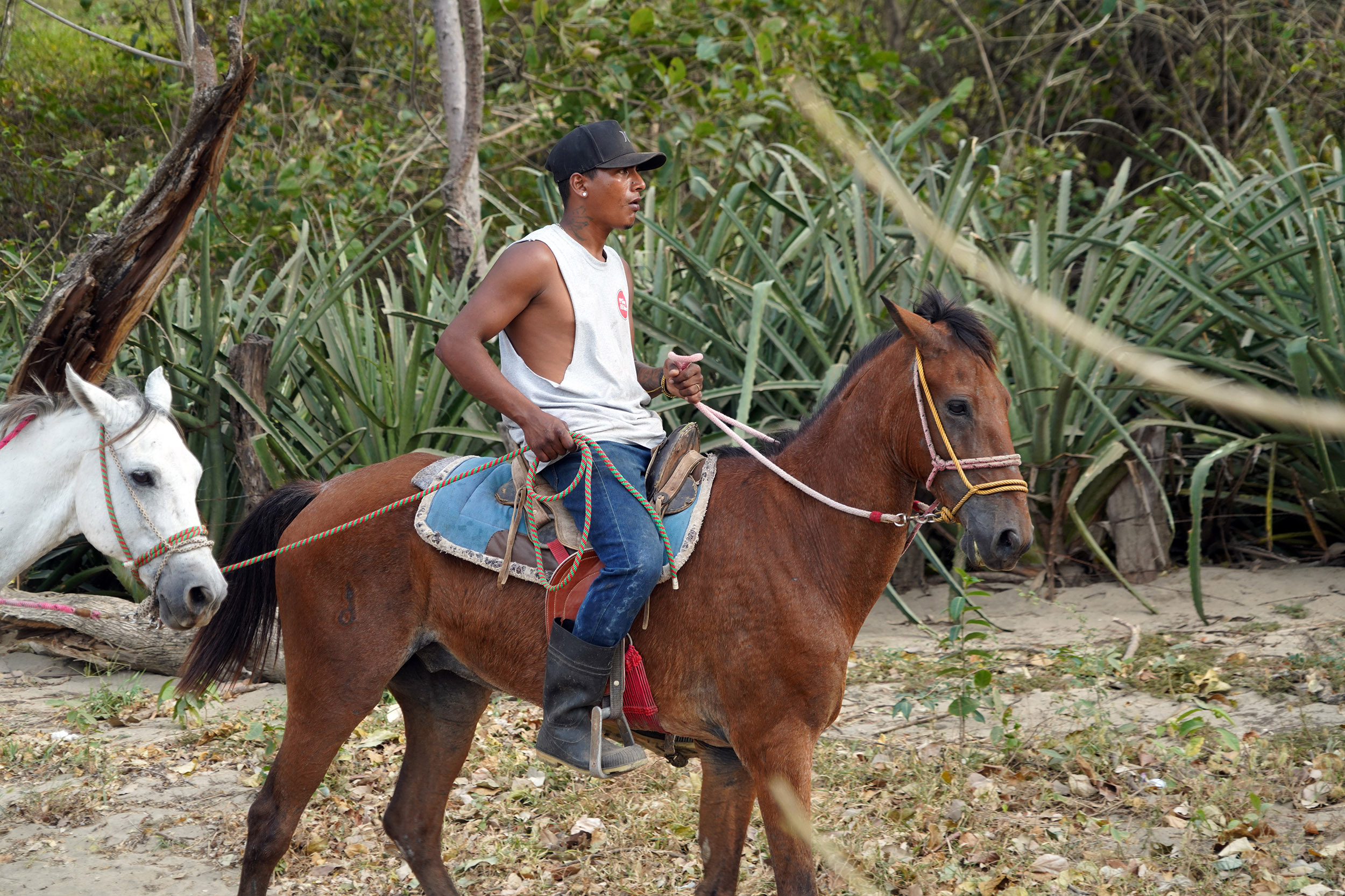 Costa Rica - Février 2025